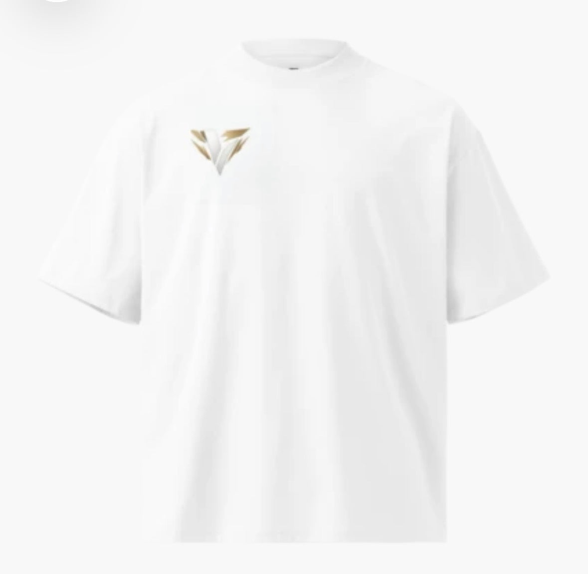 Oversize velocity T-shirt ￼